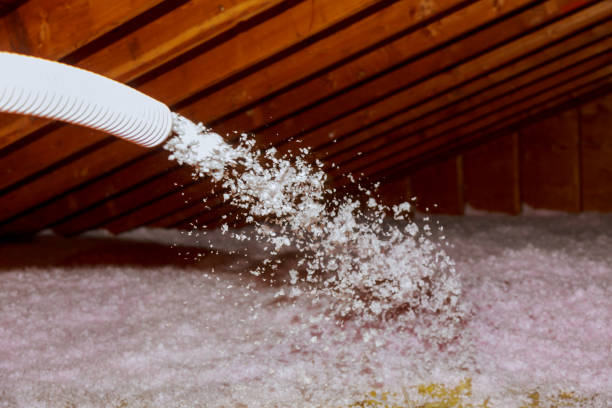  Islamorada Village Of Islands, FL Insulation Contractor Pros