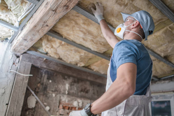 Best Types of Insulation in Islamorada Village Of Islands, FL